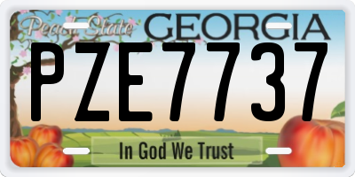 GA license plate PZE7737