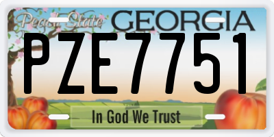 GA license plate PZE7751