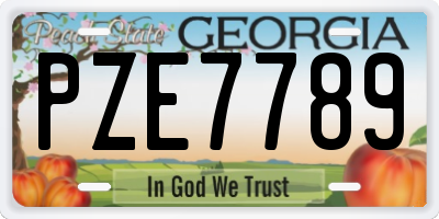 GA license plate PZE7789