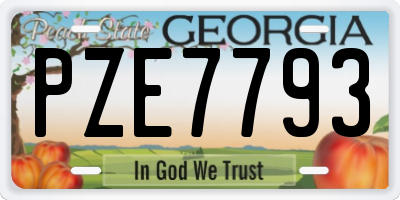 GA license plate PZE7793