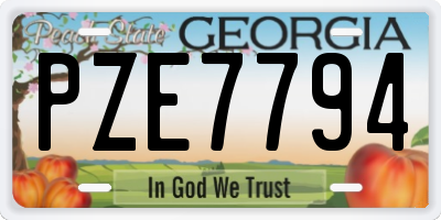 GA license plate PZE7794