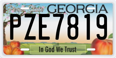 GA license plate PZE7819