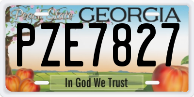 GA license plate PZE7827