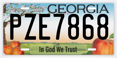 GA license plate PZE7868