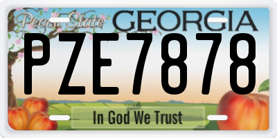 GA license plate PZE7878
