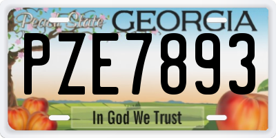 GA license plate PZE7893