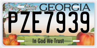 GA license plate PZE7939
