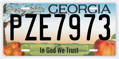 GA license plate PZE7973