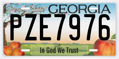 GA license plate PZE7976