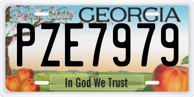 GA license plate PZE7979
