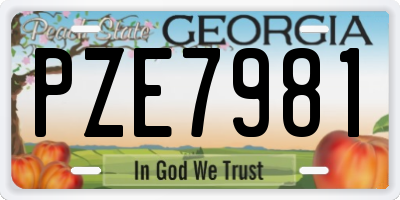 GA license plate PZE7981