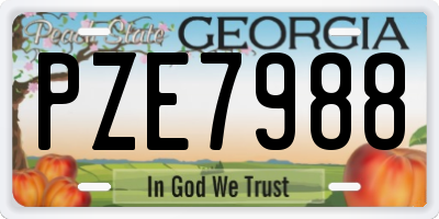 GA license plate PZE7988