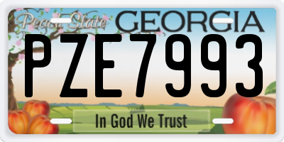 GA license plate PZE7993