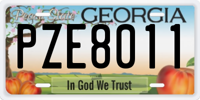GA license plate PZE8011