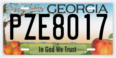 GA license plate PZE8017
