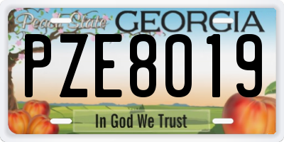 GA license plate PZE8019