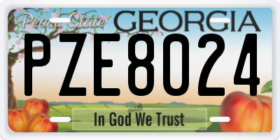 GA license plate PZE8024