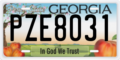GA license plate PZE8031