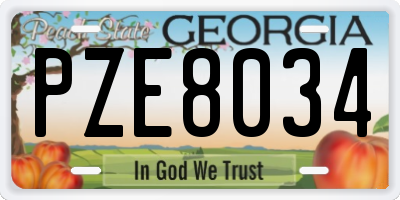 GA license plate PZE8034
