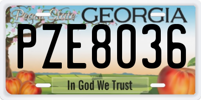 GA license plate PZE8036