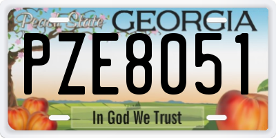GA license plate PZE8051