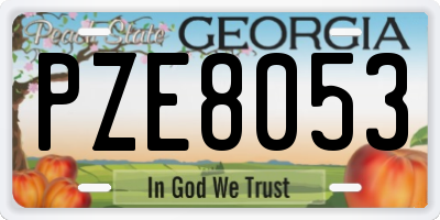 GA license plate PZE8053