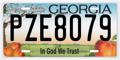 GA license plate PZE8079