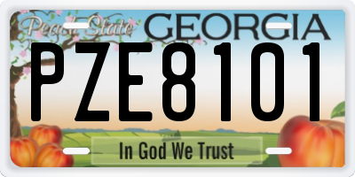 GA license plate PZE8101