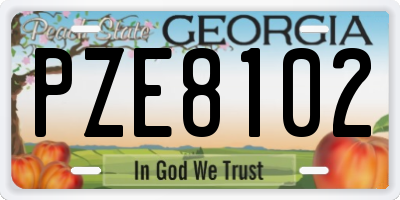 GA license plate PZE8102