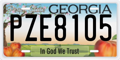 GA license plate PZE8105