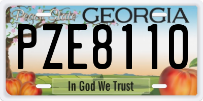 GA license plate PZE8110
