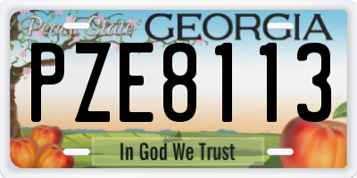 GA license plate PZE8113