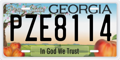 GA license plate PZE8114
