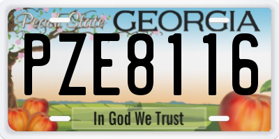 GA license plate PZE8116