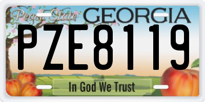 GA license plate PZE8119