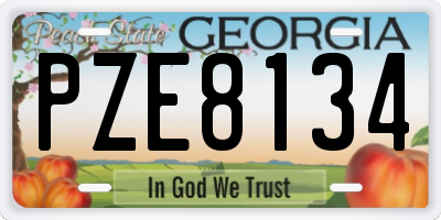 GA license plate PZE8134