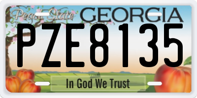 GA license plate PZE8135