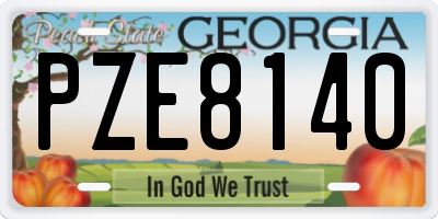 GA license plate PZE8140