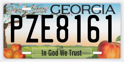GA license plate PZE8161