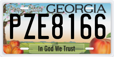 GA license plate PZE8166
