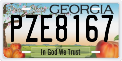 GA license plate PZE8167