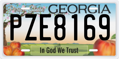 GA license plate PZE8169