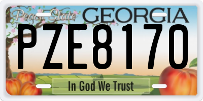 GA license plate PZE8170