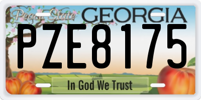 GA license plate PZE8175