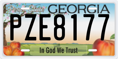 GA license plate PZE8177
