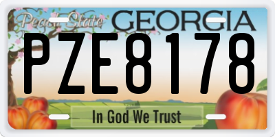 GA license plate PZE8178