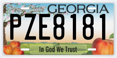 GA license plate PZE8181