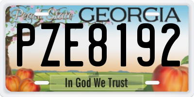 GA license plate PZE8192