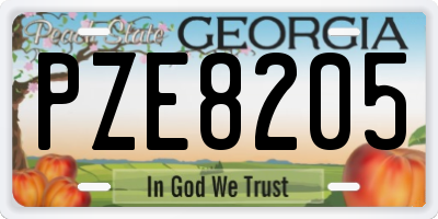 GA license plate PZE8205