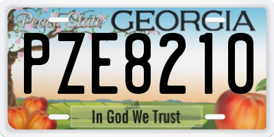 GA license plate PZE8210